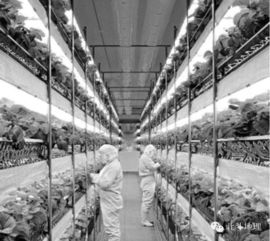 北斗系统首发与计算机系统集成在2016年高考文科综合地理试卷中的跨学科融合分析